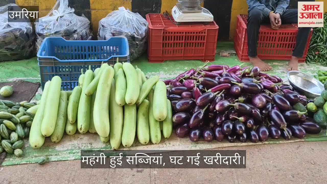 Vegetable Prices Surge After Heavy Rains, Household Budgets Hit
