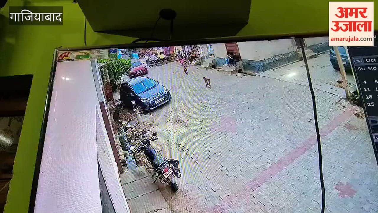 Speeding car runs over and kills dog in Muradnagar incident captured on CCTV