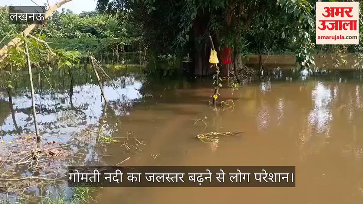 VIDEO: मंझौवा गांव में सैकड़ों बीघा फसल डूबी, गोमती नदी का जलस्तर बढ़ने से लोग परेशान