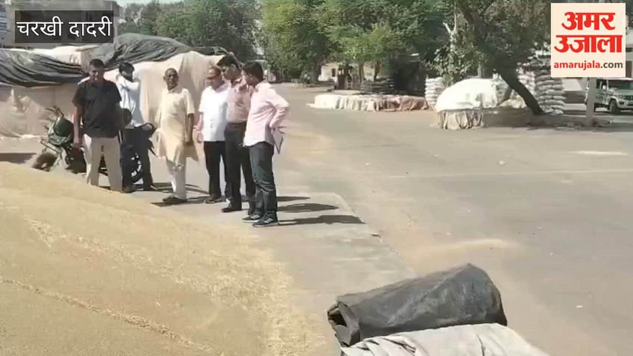 Zonal Administrator visits Charkhi Dadri grain market, reviews arrangements for pearl millet procurement, and issues instructions to officials.