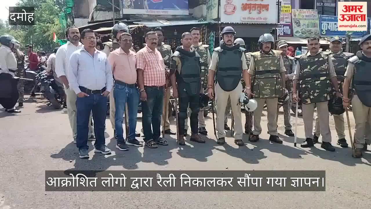 Pregnant Cow Killing Sparks Protest in Damoh, Organizations Seek Strict Action
