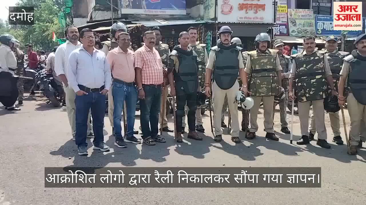 Pregnant Cow Killing Sparks Protest in Damoh, Organizations Seek Strict Action