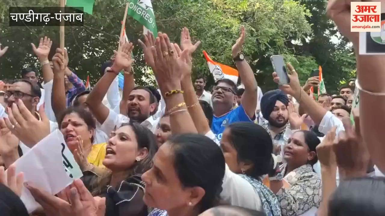 'Save Vote, Save Country' march in Chandigarh