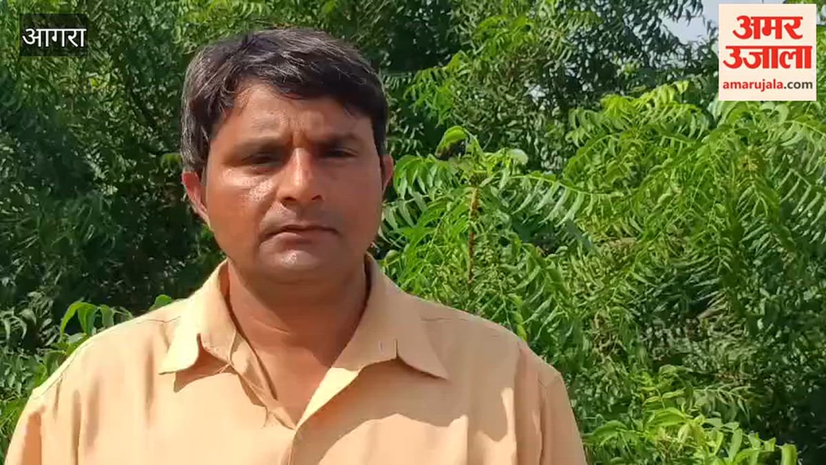 VIDEO:  नाले-झाड़ियों में मिला नकली-एक्सपायर दवाओं का जखीरा