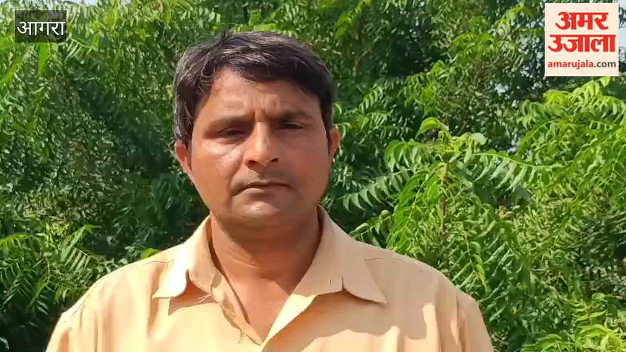 Yamuna Survey Finds Over 200 Species Including Gharials and River Dolphins
