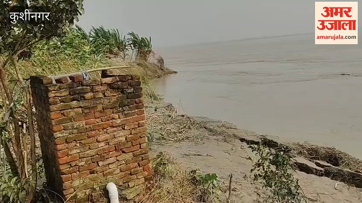 कुशीनगर: नारायणी नदी का कटान बढ़ा, एपी बांध से महज 5-7 मीटर दूर पहुंची धारा