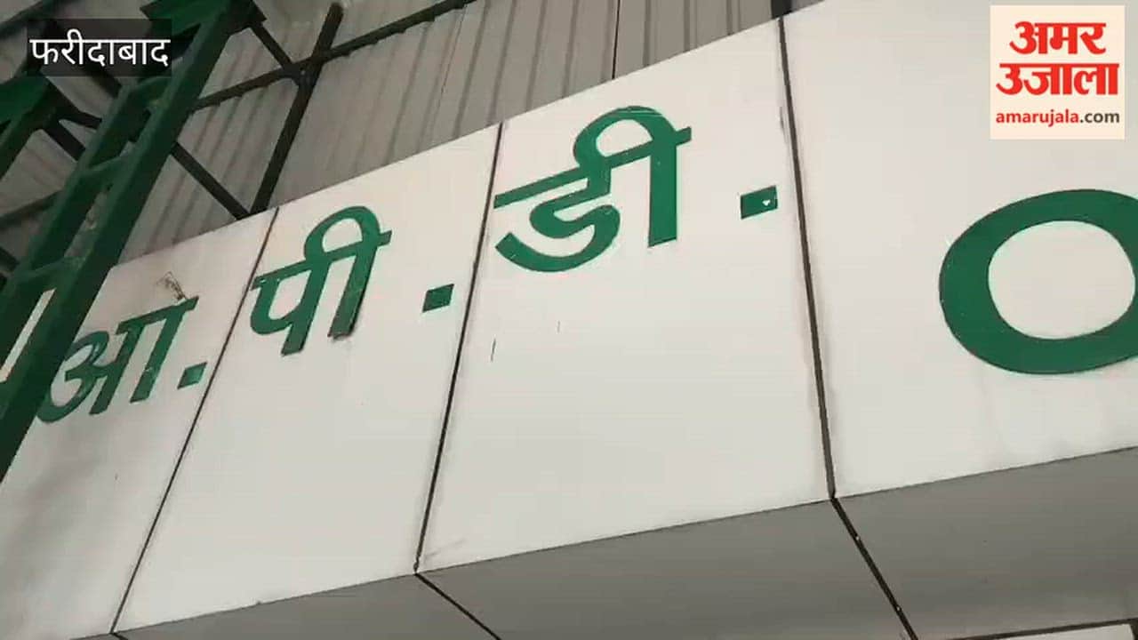 Bull rams into 10-year-old student in Faridabad; jaw broken.