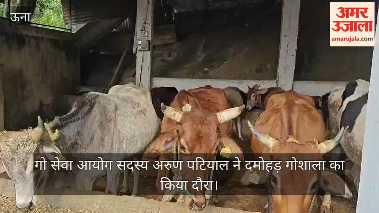 Thanakalan: Cow Service Commission member Arun Patial visited the Damohad cowshed.