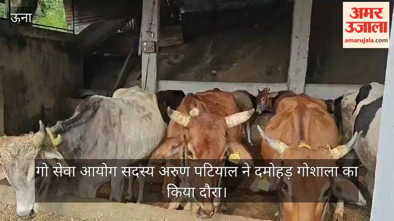 Thanakalan: Cow Service Commission member Arun Patial visited the Damohad cowshed.
