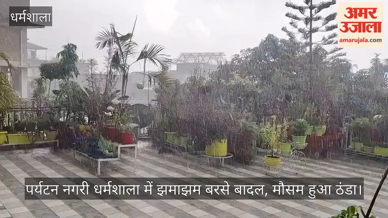 Video: Heavy rain lashes the tourist town of Dharamshala; weather turns cool.