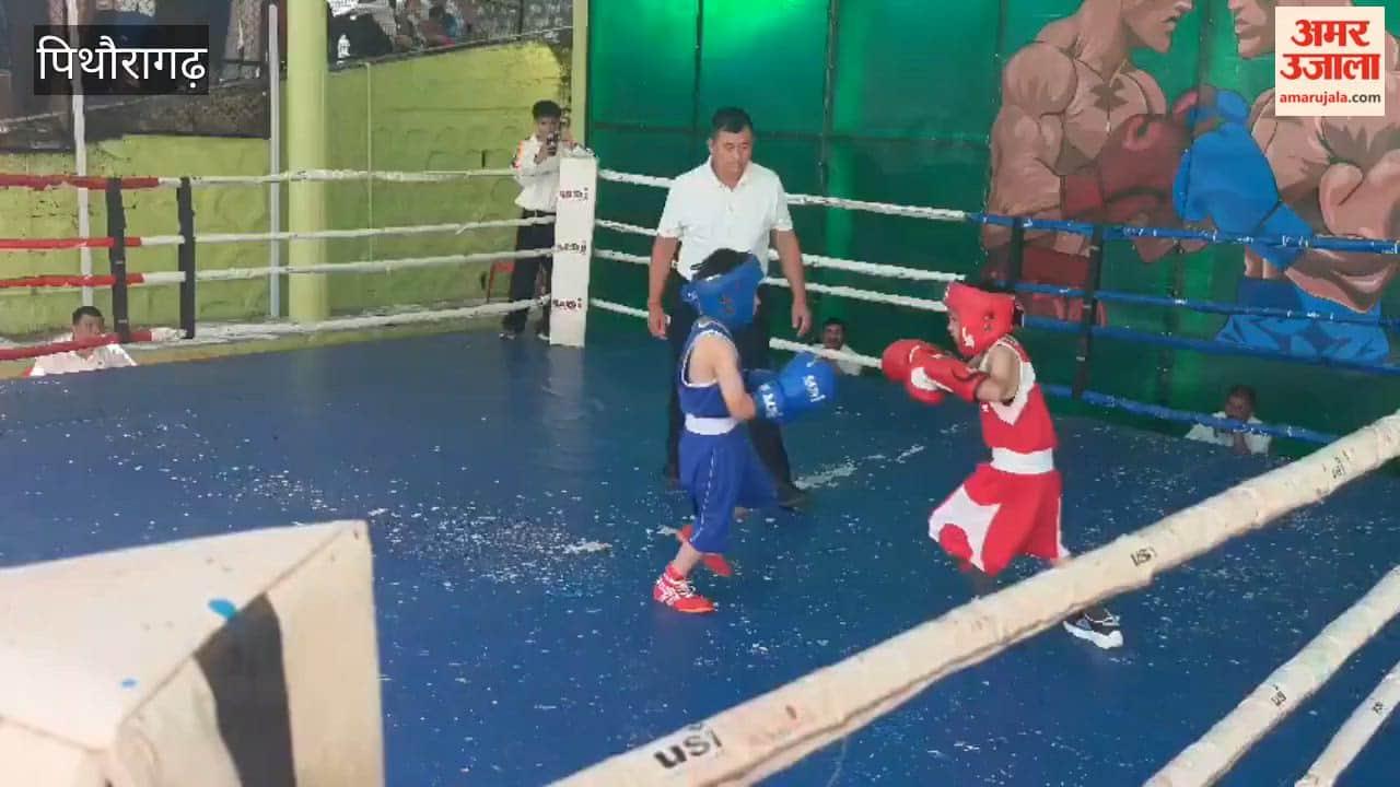 Devesh, Vivek, Harshit, Vedant, Karan, Himanshu, and Tushar won gold medals.