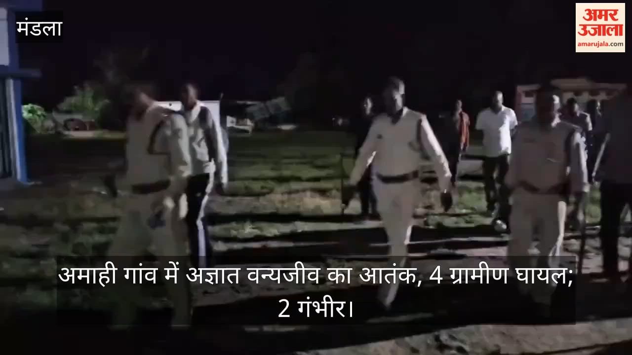 Mandla: Unknown Wild Animal Attacks Villagers, Youth Injured While Saving Mother; Forest Dept Issues Alert