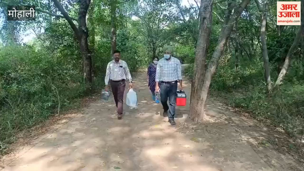 Beheaded body found in Peermuchalla Nature Park police working to identify deceased