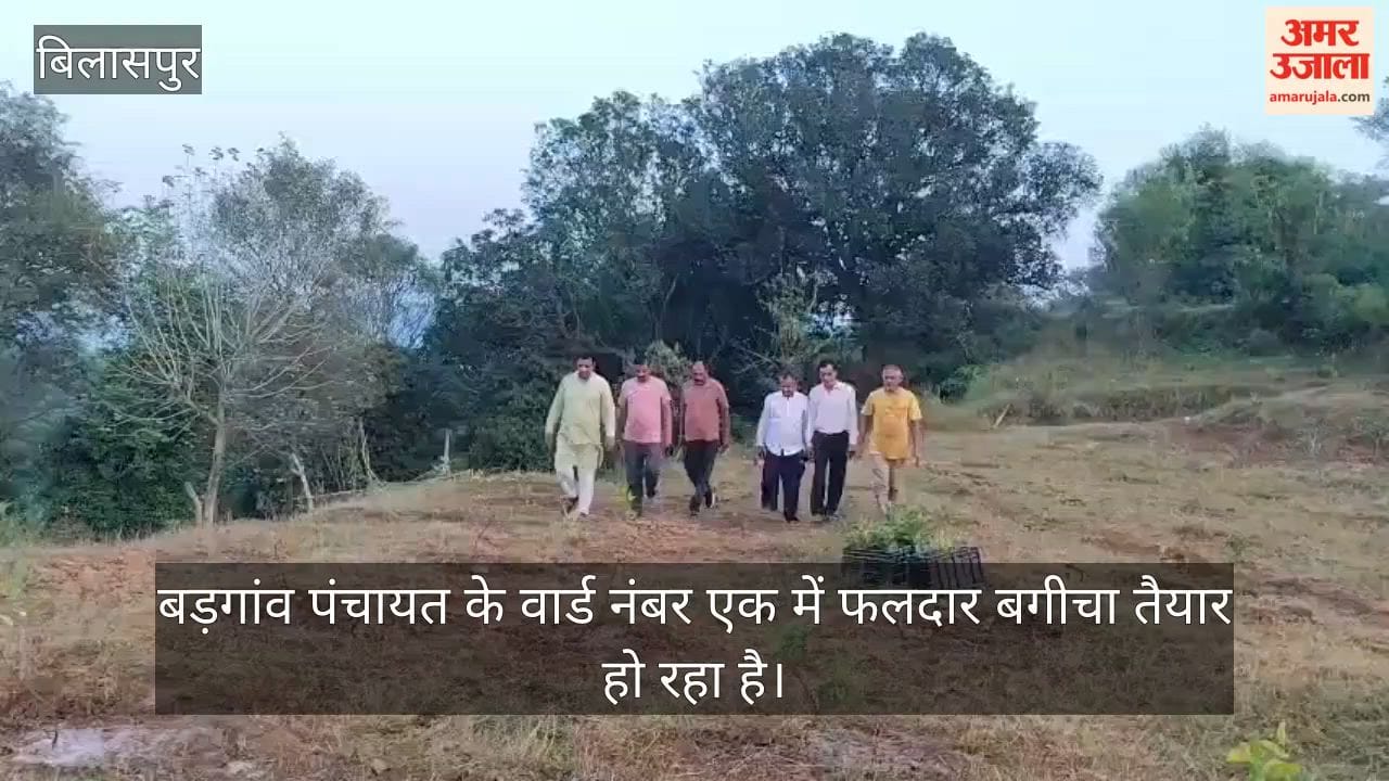 fruit garden development ward one bargaon bilaspur vbg ramji yojana