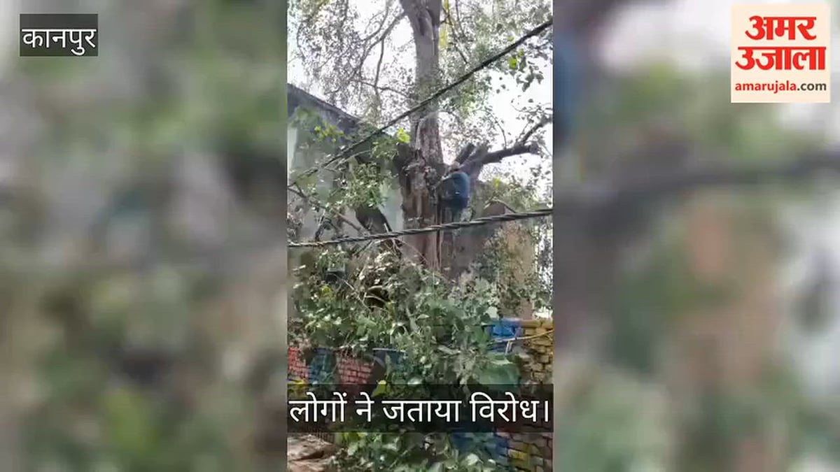 कानपुर: गोविंद नगर में हरे-भरे पीपल के पेड़ की कटाई पर हंगामा