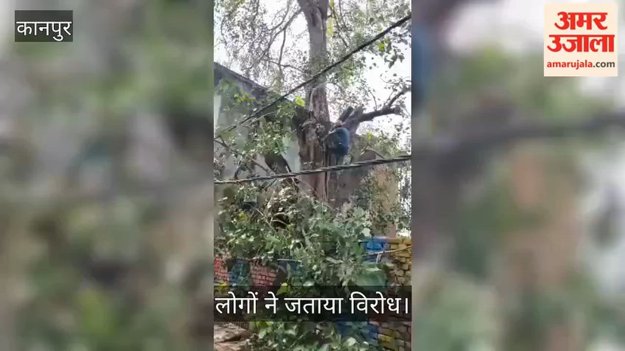 Kanpur Uproar over the felling of a lush green Peepal tree in Govind Nagar