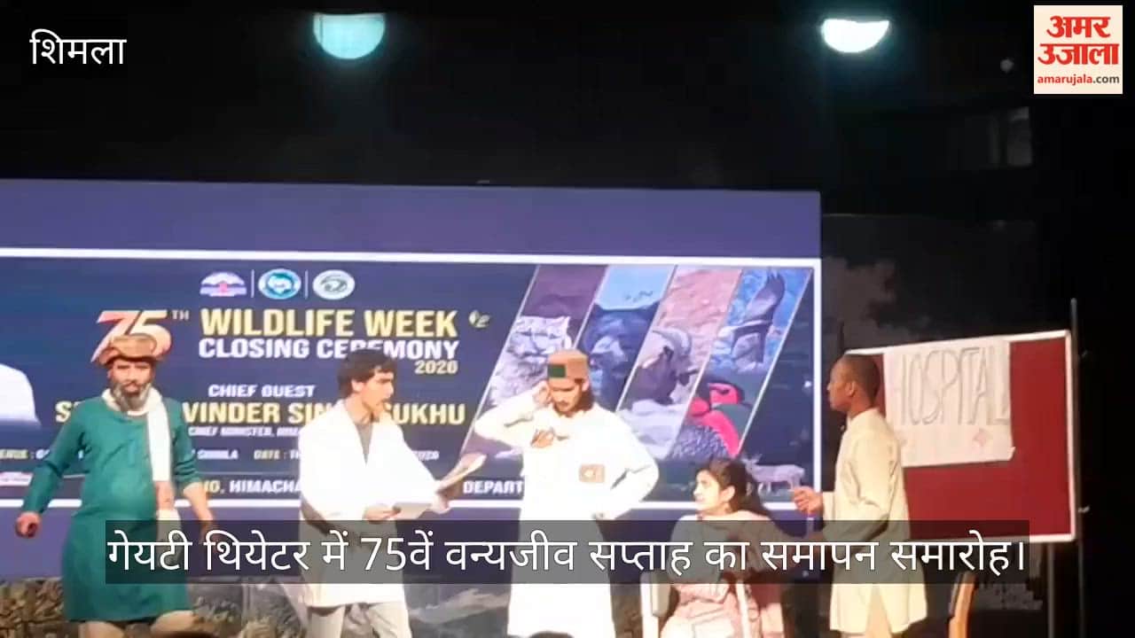 gaiety theatre shimla jungle se insaan tak play wildlife conservation