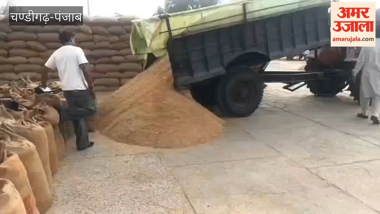 Nine thousand metric tons of paddy reached the markets of Firozpur, seven thousand metric tons purchased