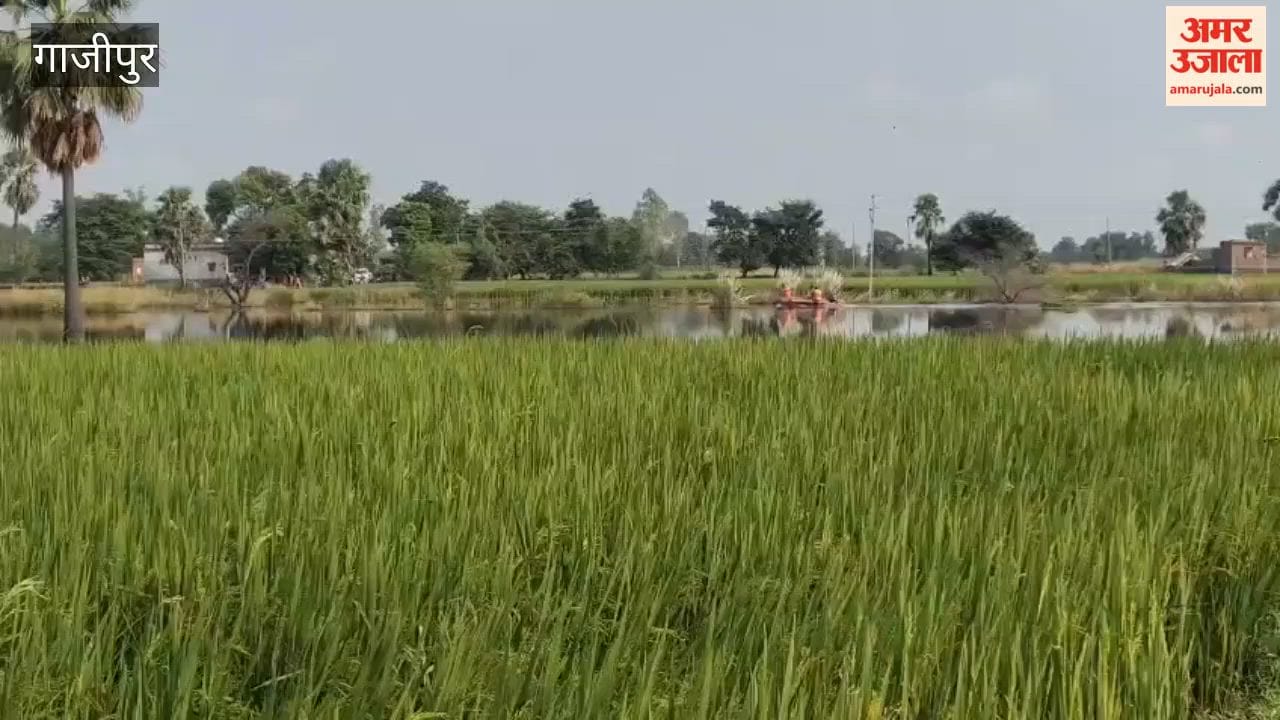 Two youths jumped into the river in Ghazipur NDRF engaged search operation