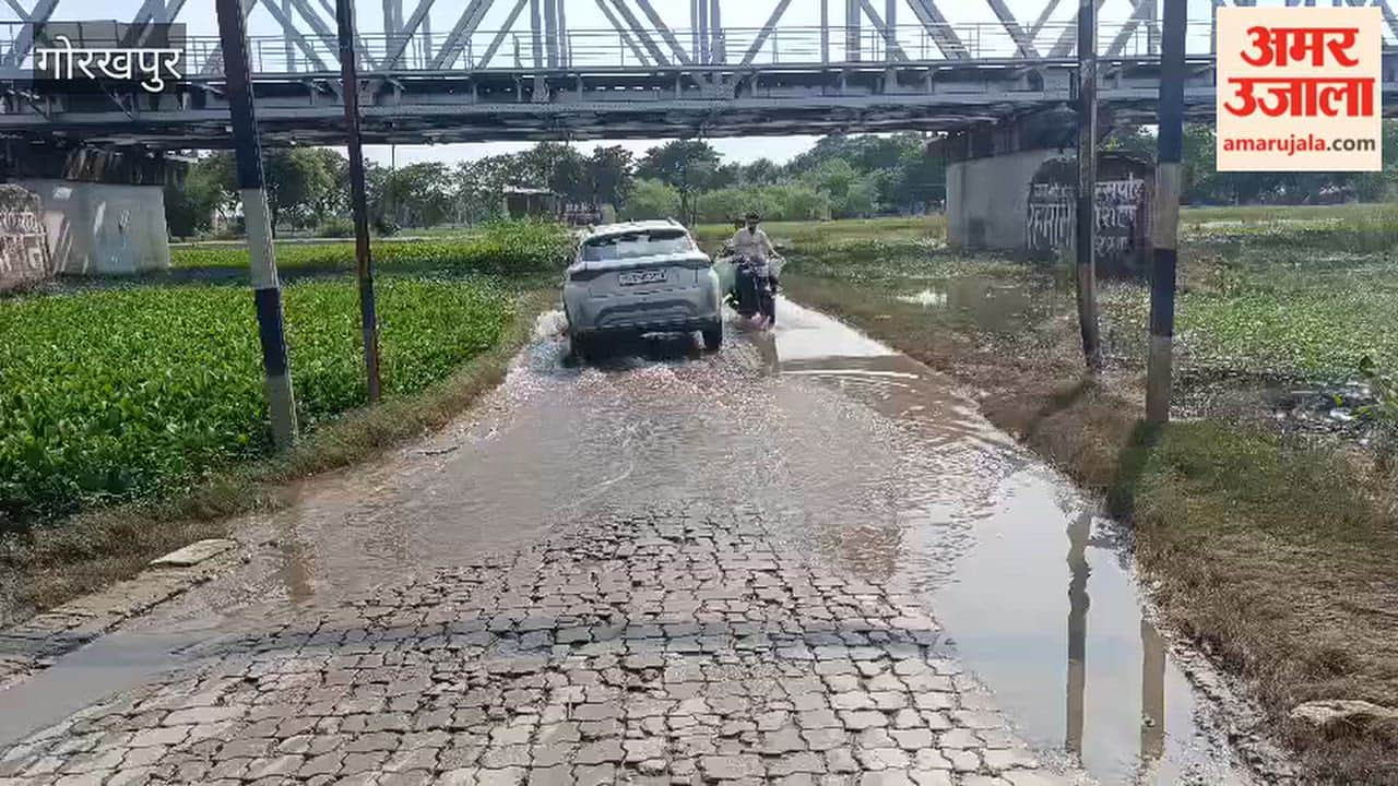 floodwaters recede dohariya bazar domin garh road reopens