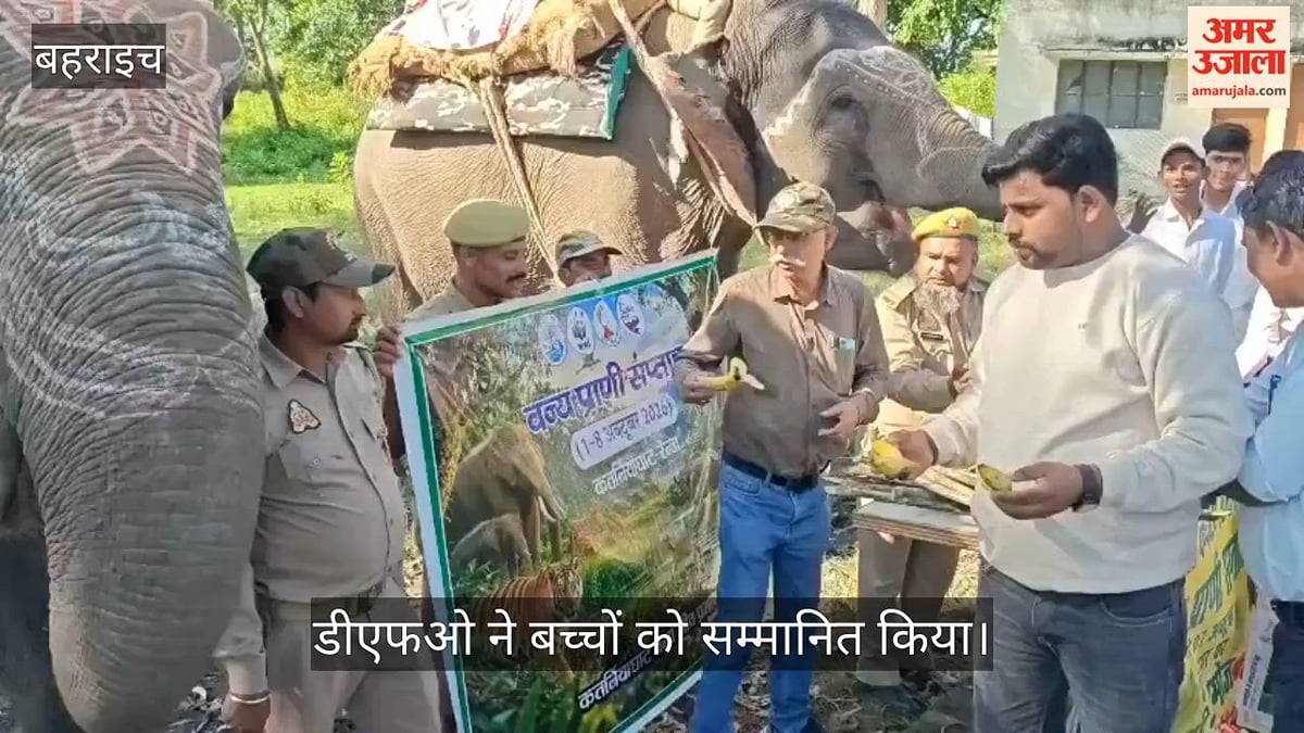 Video: बहराइच में घड़ियाल सेंटर पर चित्रकला व क्विज प्रतियोगिता, डीएफओ ने बच्चों को सम्मानित किया
