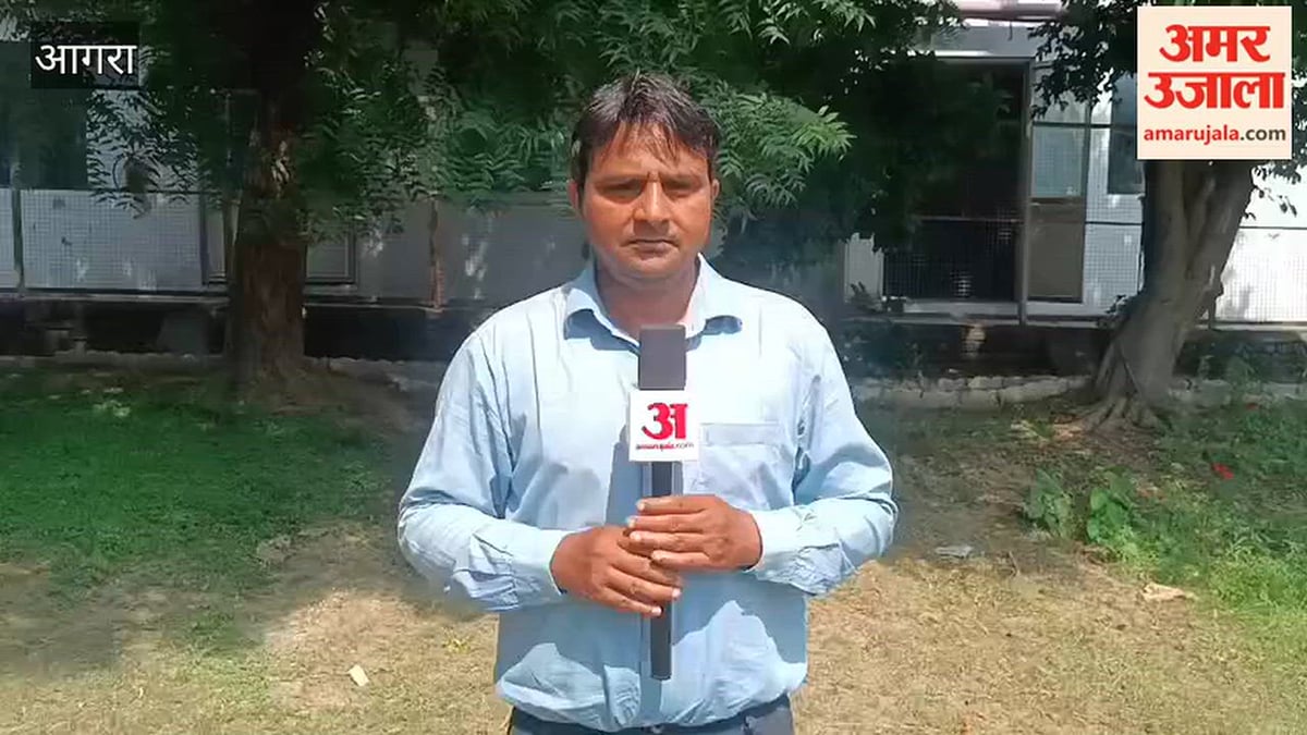 VIDEO: एसएन में तीन काउंटरों के भरोसे पैथोलॉजी, घंटों इंतजार करने को मजबूर मरीज