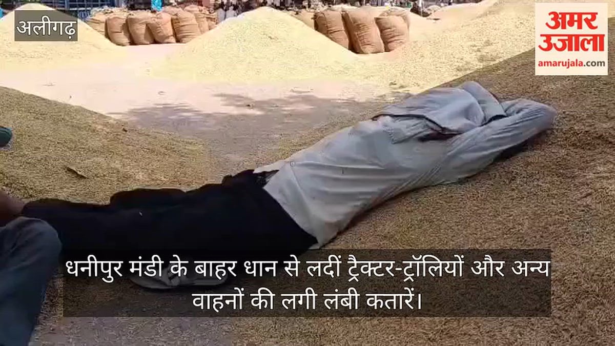 धनीपुर मंडी के बाहर धान से लदीं ट्रैक्टर-ट्रॉलियों और अन्य वाहनों की लगी लंबी कतारें