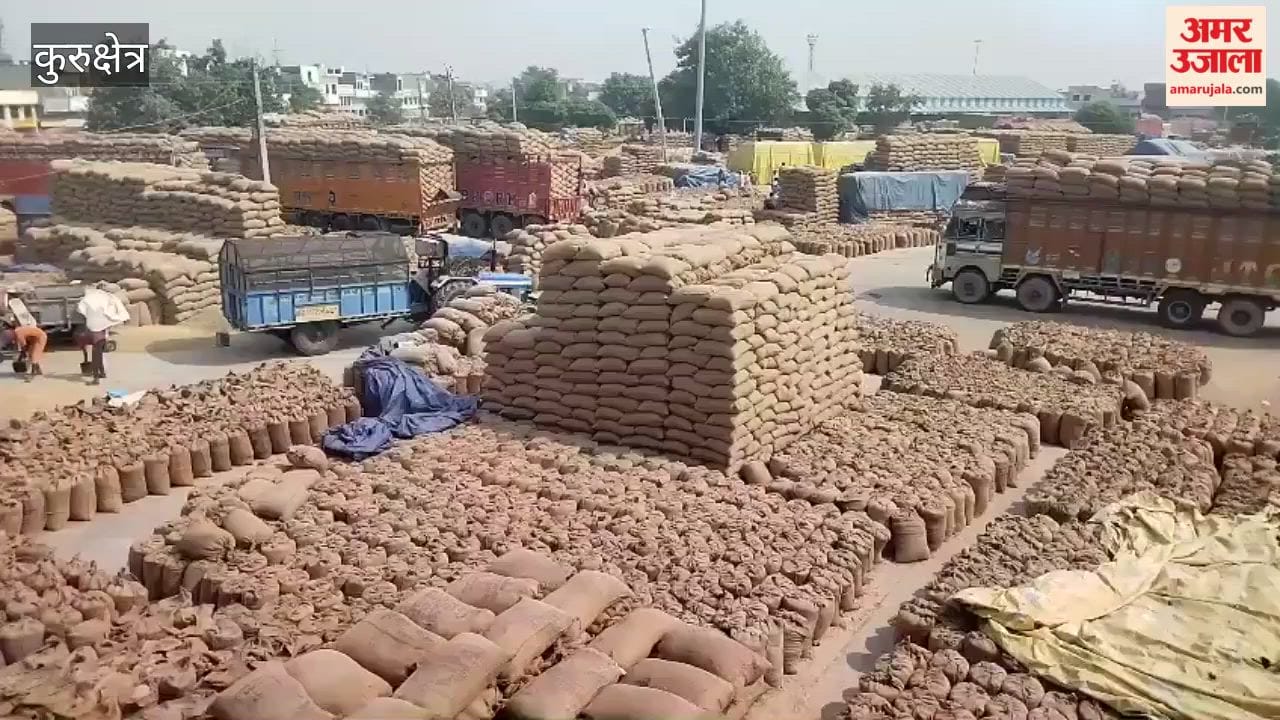 Conditions in Kurukshetra's grain markets have deteriorated; the administration, having failed to make timely arrangements, is now in a state of panic