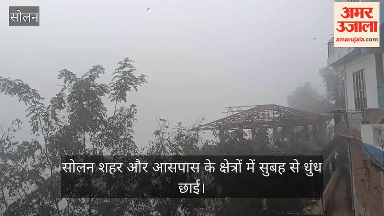 solan weather fog cold temperature drop after rain