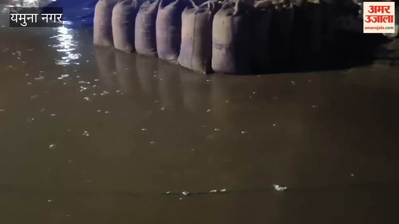 40,000 metric tonnes of paddy lying in the open at Yamunanagar's mandis got drenched due to rain.