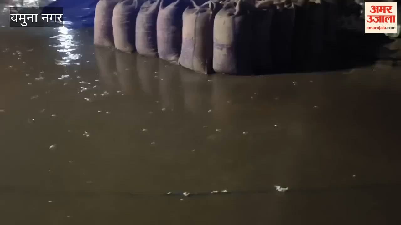 40,000 metric tonnes of paddy lying in the open at Yamunanagar's mandis got drenched due to rain.