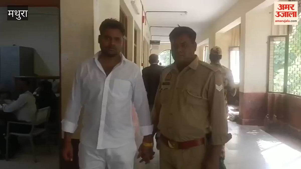 VIDEO: गैर इरादतन हत्या में एक दोषी को पांच साल की सजा, कोर्ट ने लगाया 13 हजार का जुर्माना, चार आरोपी साक्ष्यों के अभाव में बरी
