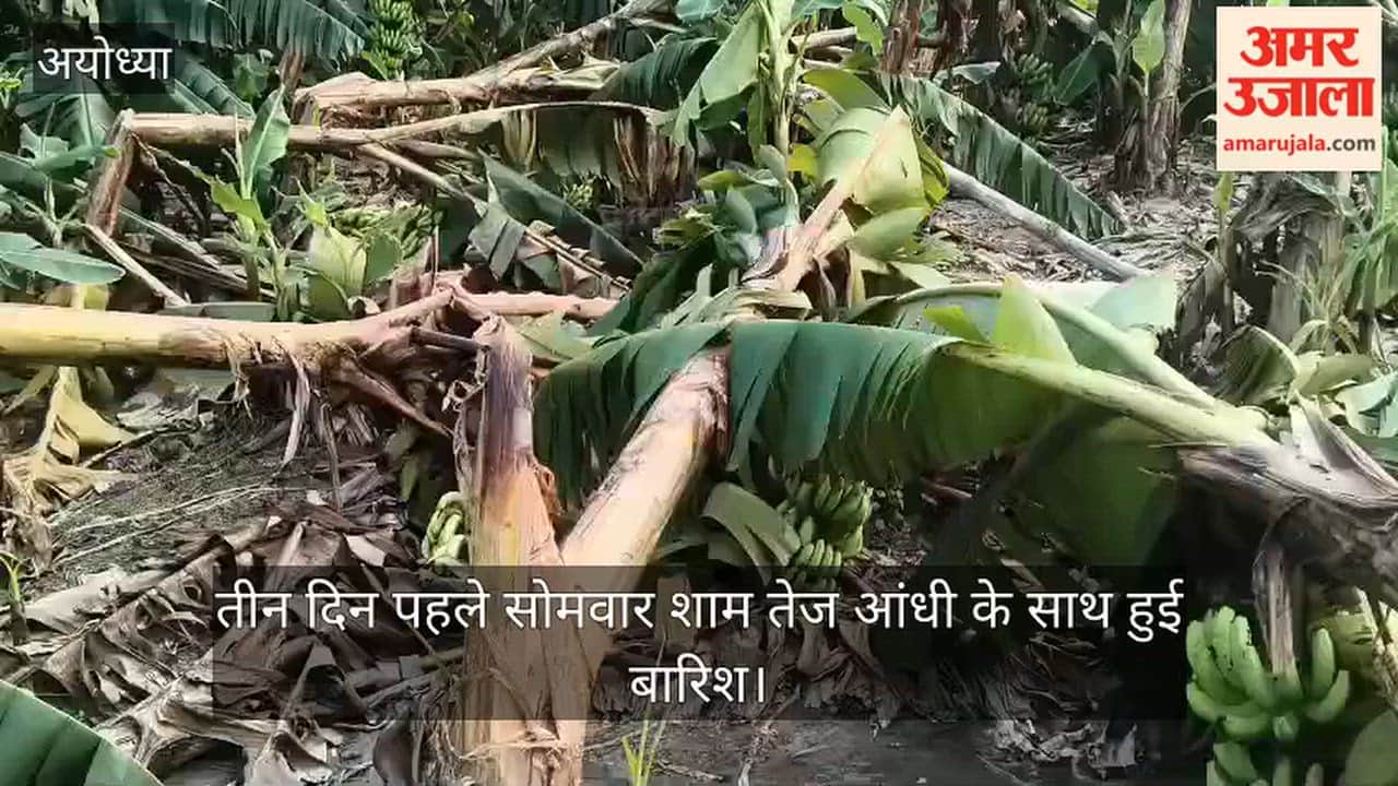 VIDEO: आंधी-बारिश ने केला और सब्जी की फसलें की बर्बाद, किसान मायूस