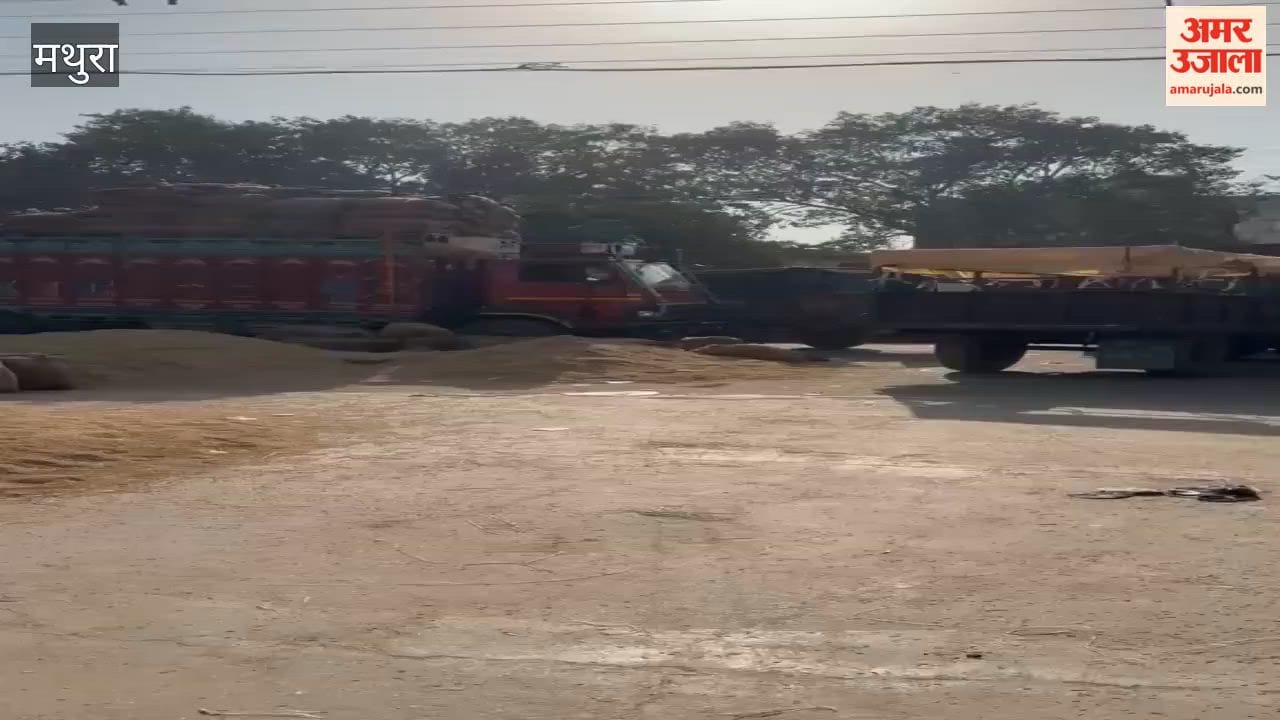 Heavy Paddy Arrivals Disrupt Mathura Mandi, Grain Purchases Halted for a Day