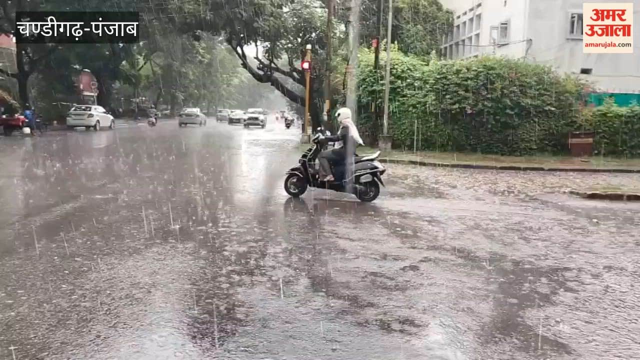 Rain in Chandigarh