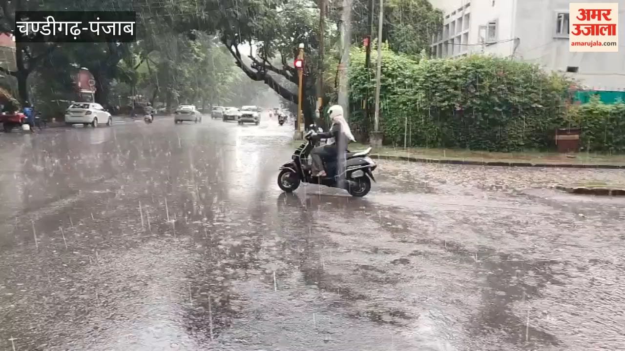 Rain in Chandigarh