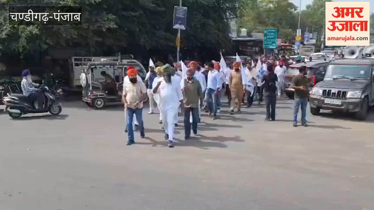 In Zira, farmer unions and social organizations burned effigies of the Punjab government and the FDA Commissioner.