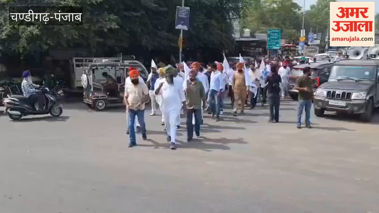 In Zira, farmer unions and social organizations burned effigies of the Punjab government and the FDA Commissioner.