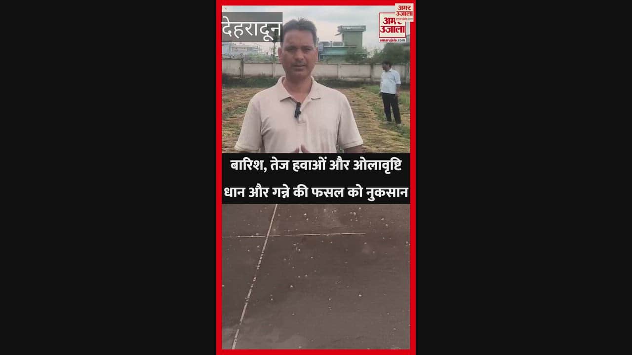 Rain, strong winds, and hailstorms damage paddy and sugarcane crops