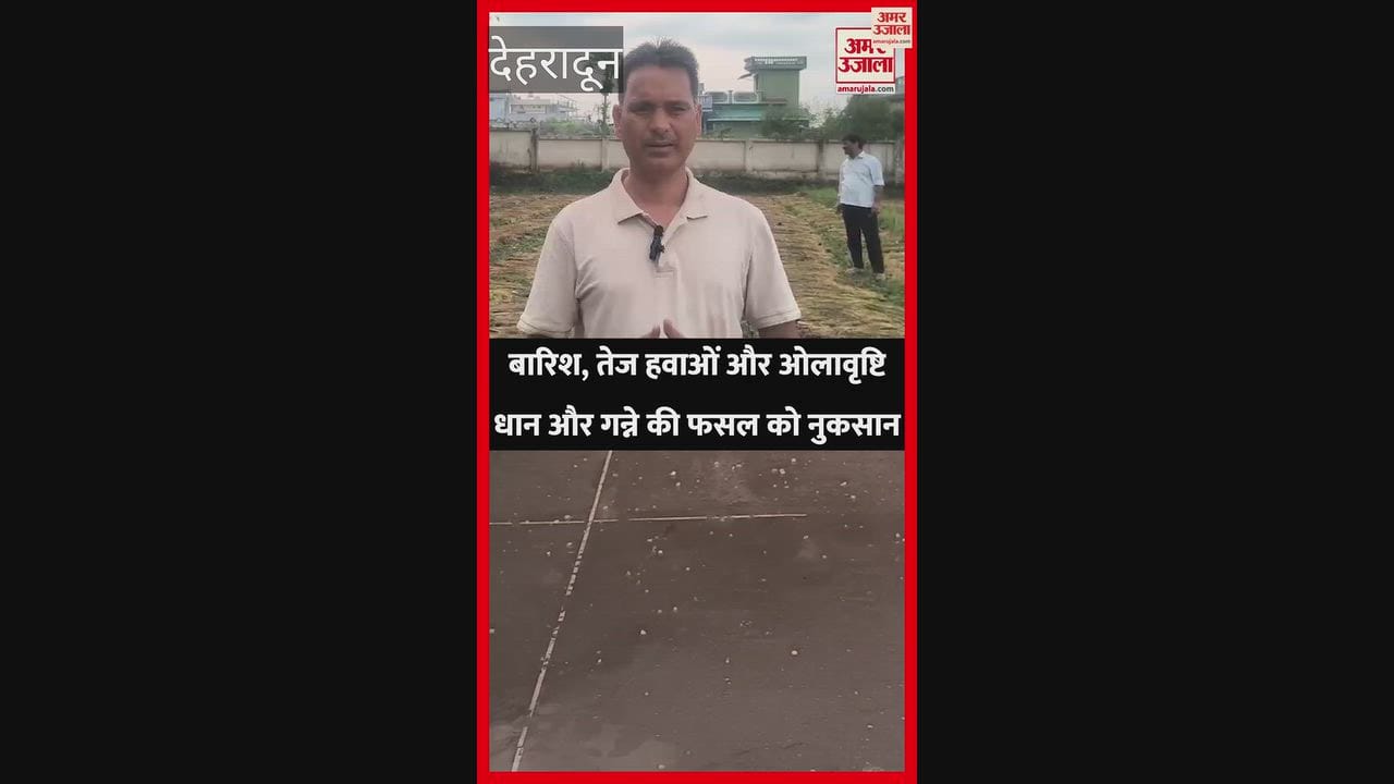 Rain, strong winds, and hailstorms damage paddy and sugarcane crops
