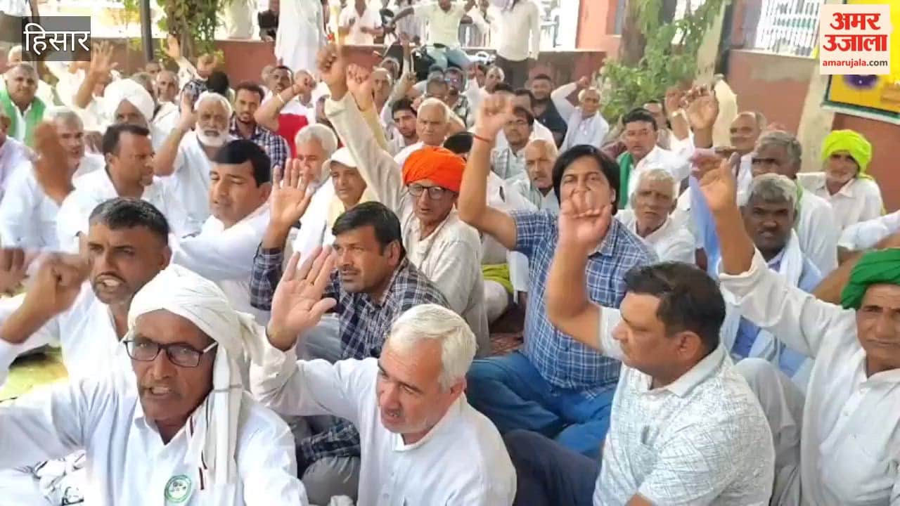Farmers' union camps at Hansi Mandi; corners government over paddy and pearl millet procurement.