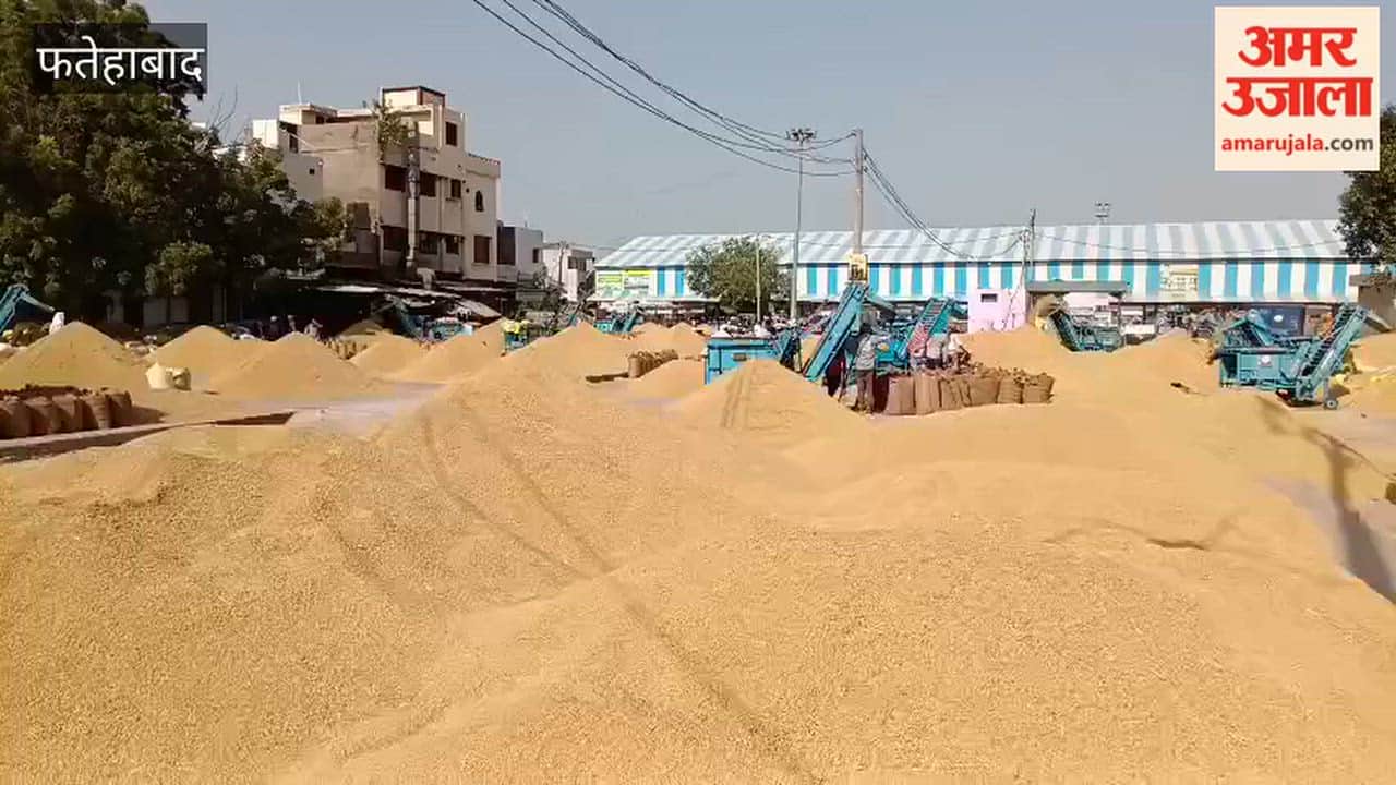 Fatehabad: Surge in arrivals; 87,000 quintals of paddy arrived on Wednesday.