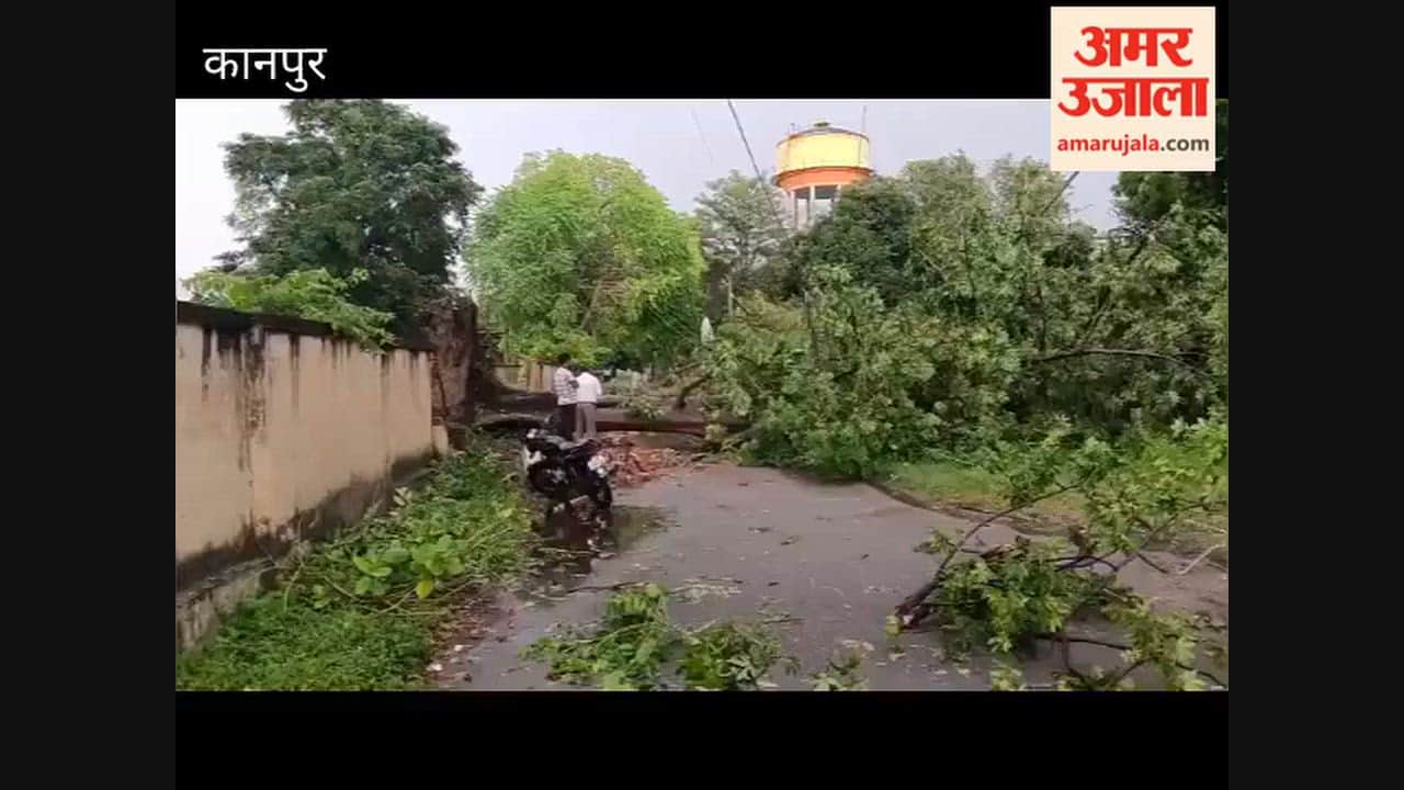 Trees fell and several poles were damaged across the city following heavy rain and a storm