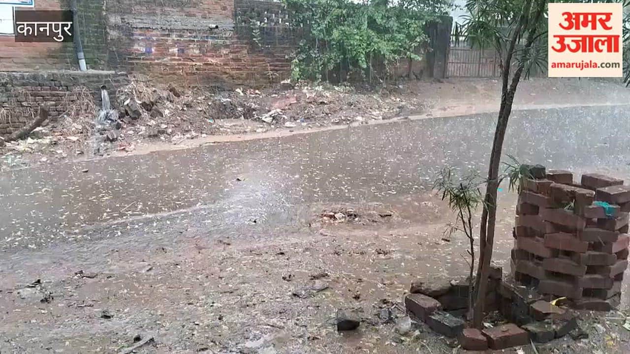 Ghatampur: Trees toppled by rain and strong winds; hailstorms reported in several villages