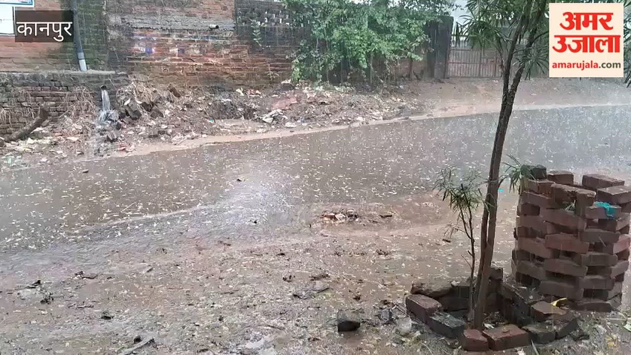 Ghatampur: Trees toppled by rain and strong winds; hailstorms reported in several villages