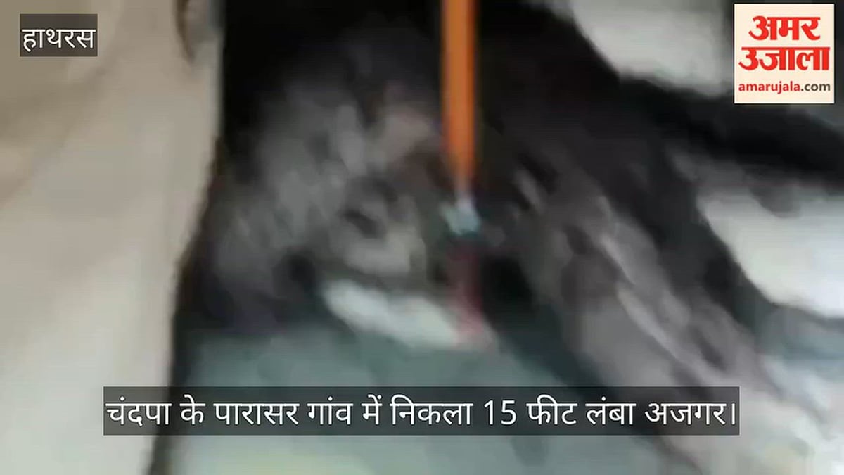 चंदपा के पारासर गांव में निकला 15 फीट लंबा अजगर