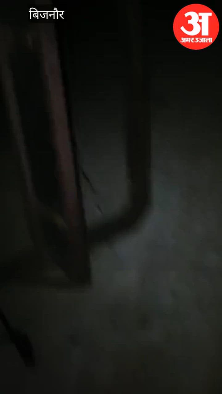 Bijnor: शराब के नशे में भीड़ पर चढ़ाया ट्रैक्टर, दो की मौत, एक गंभीर; भागते समय चालक भी घायल