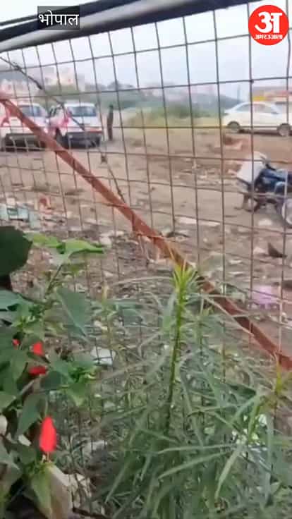Bhopal: Uproar After Cattle Remains Found at Dairy, 3 Arrested; Angry Locals Assault Suspect