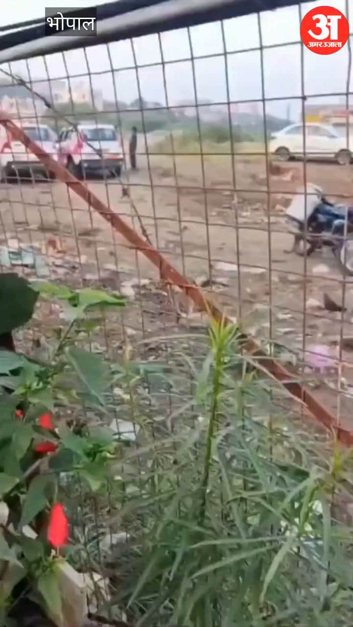 Bhopal: Uproar After Cattle Remains Found at Dairy, 3 Arrested; Angry Locals Assault Suspect
