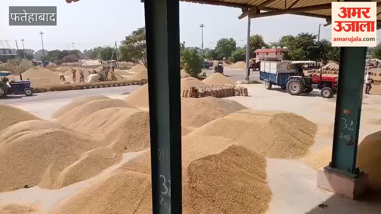 Paddy procurement sluggish at Fatehabad grain market; farmers have been waiting a week to sell their crop.